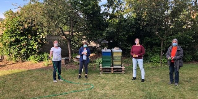 Bienenprojekt: Frauspätstück säht Blumen